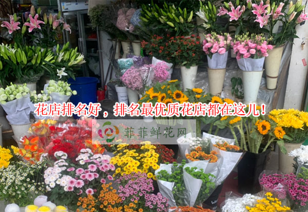 驻马店花店排名,驻马店最优质花店都在这儿!