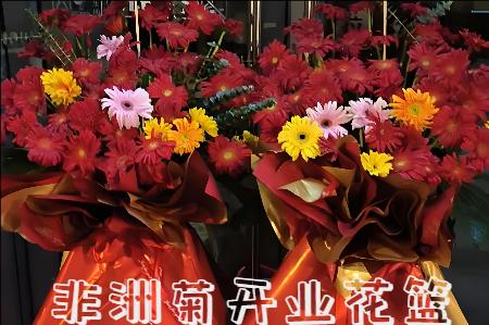 驻马店开业花篮